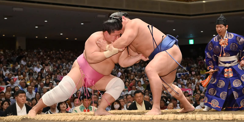 Sumo Wrestling Sumo Wrestling